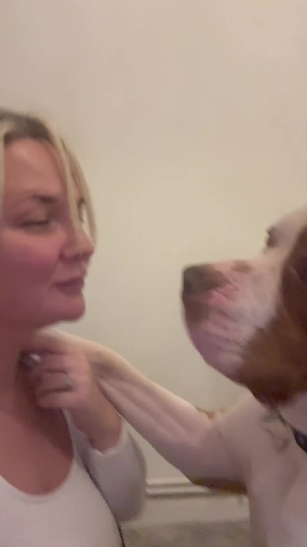 Mixed Breed dogs for sale: Boysie - Video 2