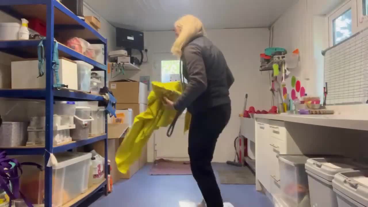 Pug dogs for adoption: Little Lola needs urgent Foster or Home in Waltham Abbey - Video 3