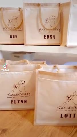 Golden Retriever dogs for sale: Litter Annoucement - GR puppies coming 24-09-2025 - Video 2