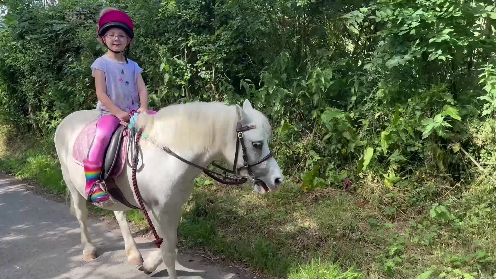 Welsh Section A horses for sale: Super safe Welsh A Mare - Video 1