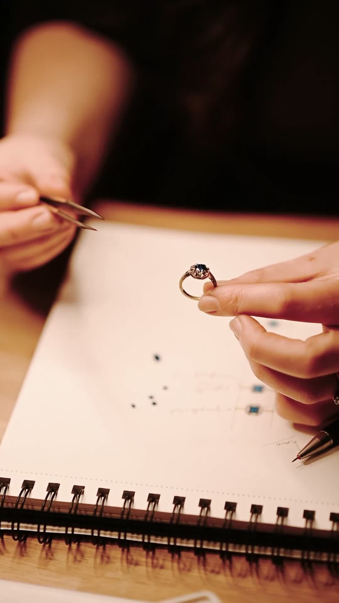 Golden Retriever dogs for sale: Bella's Golden Retriever Puppies   - Video 1