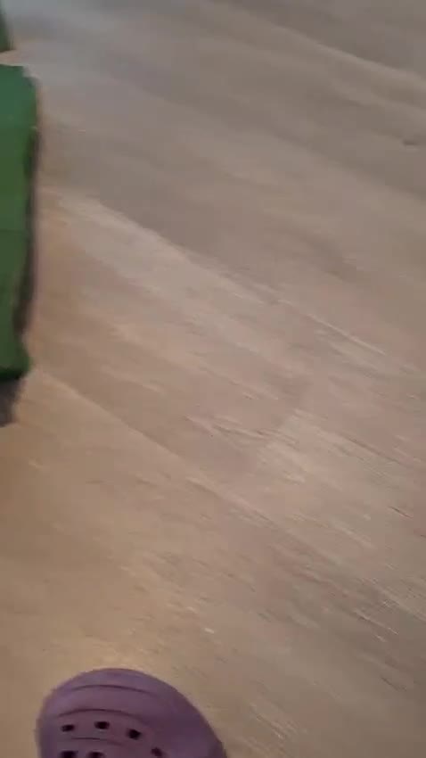 Bengal cats for sale: Beautiful bengal kittens  - Video 2