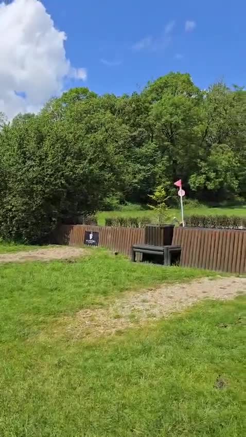 English Thoroughbred horses for sale: 15.2 thoroughbred mare - Video 1