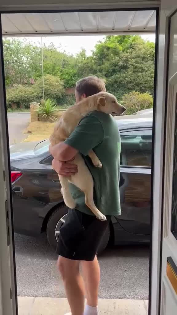 Mixed Breed dogs for adoption: ❤️🐶 LAIMA – HOW IS THIS WONDERFUL GIRL WAITING - Video 1