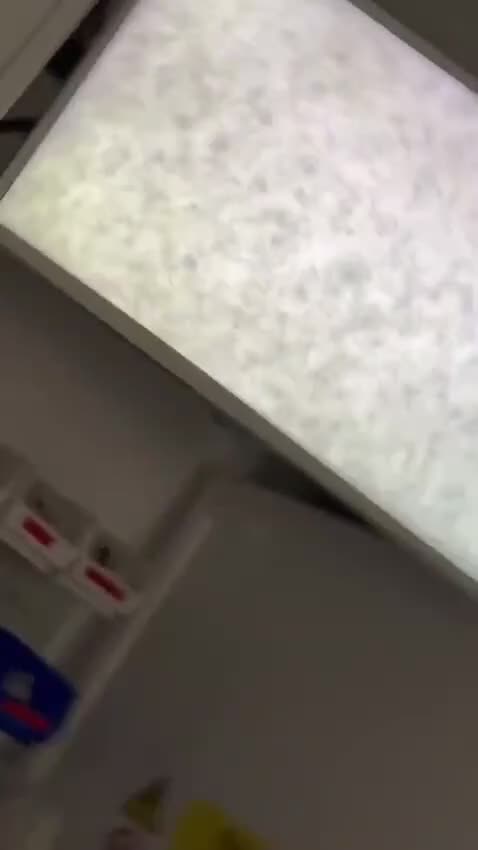 Rottweiler dogs for stud: Azrael KC Registered Health Tested Proven Stud - Video 1