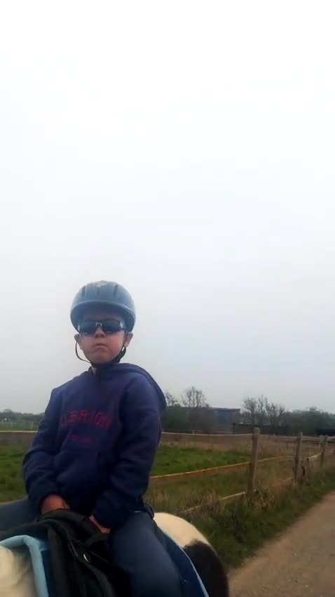 Irish Cob horses for sale: For loan kind natured cob gelding 12.3hh - Video 1