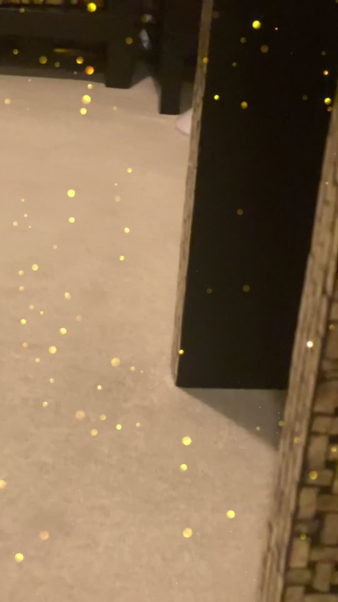 Ragdoll cats for sale: 7 ragdoll cats & kittens  - Video 1