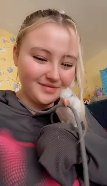 Parrots birds for sale: Blue Quaker Parrot in Clacton-on-Sea - Video 2