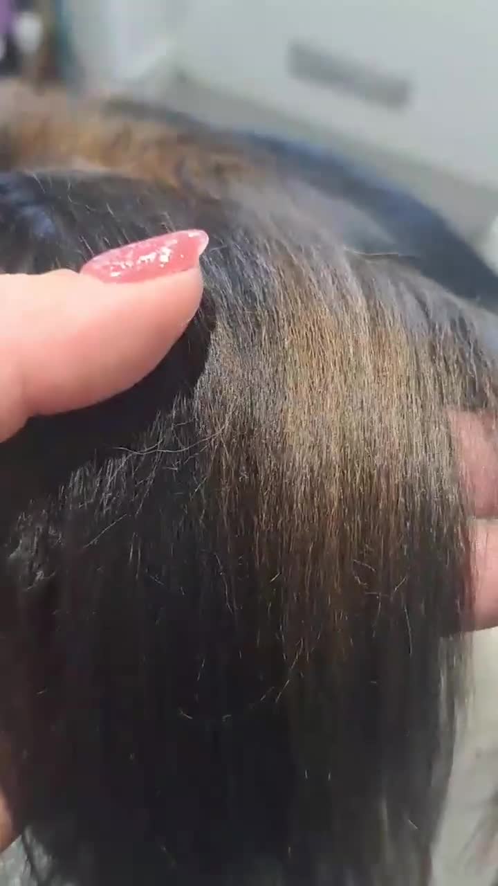 Papillon dogs for stud: 🦋 STUD PAPILLON 🦋 - Video 2