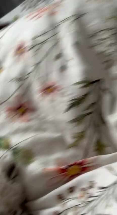 Ragdoll cats for sale: 4 beautiful, gentle, fluffy and active kittens  in Glasgow - Video 2
