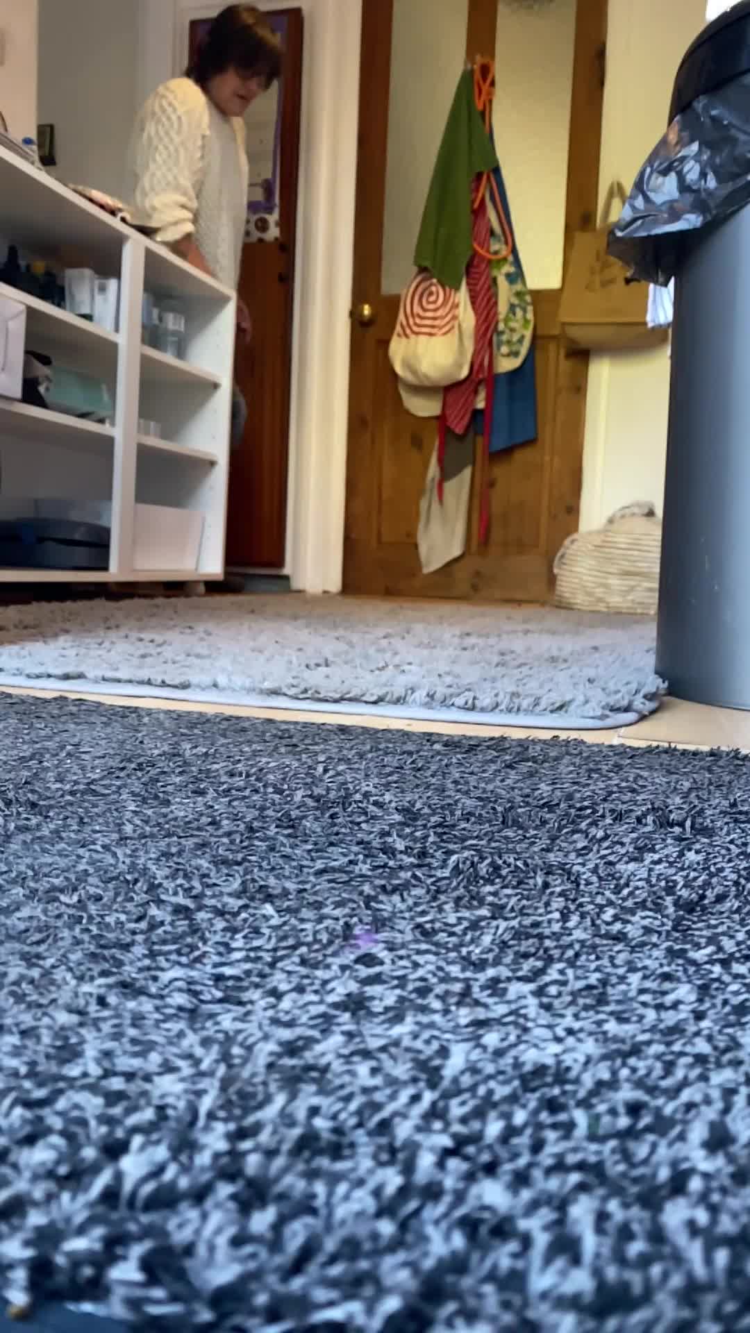 Goldendoodle dogs for sale: Black Phantom Goldendoodles Ready For A New Home! - Video 1