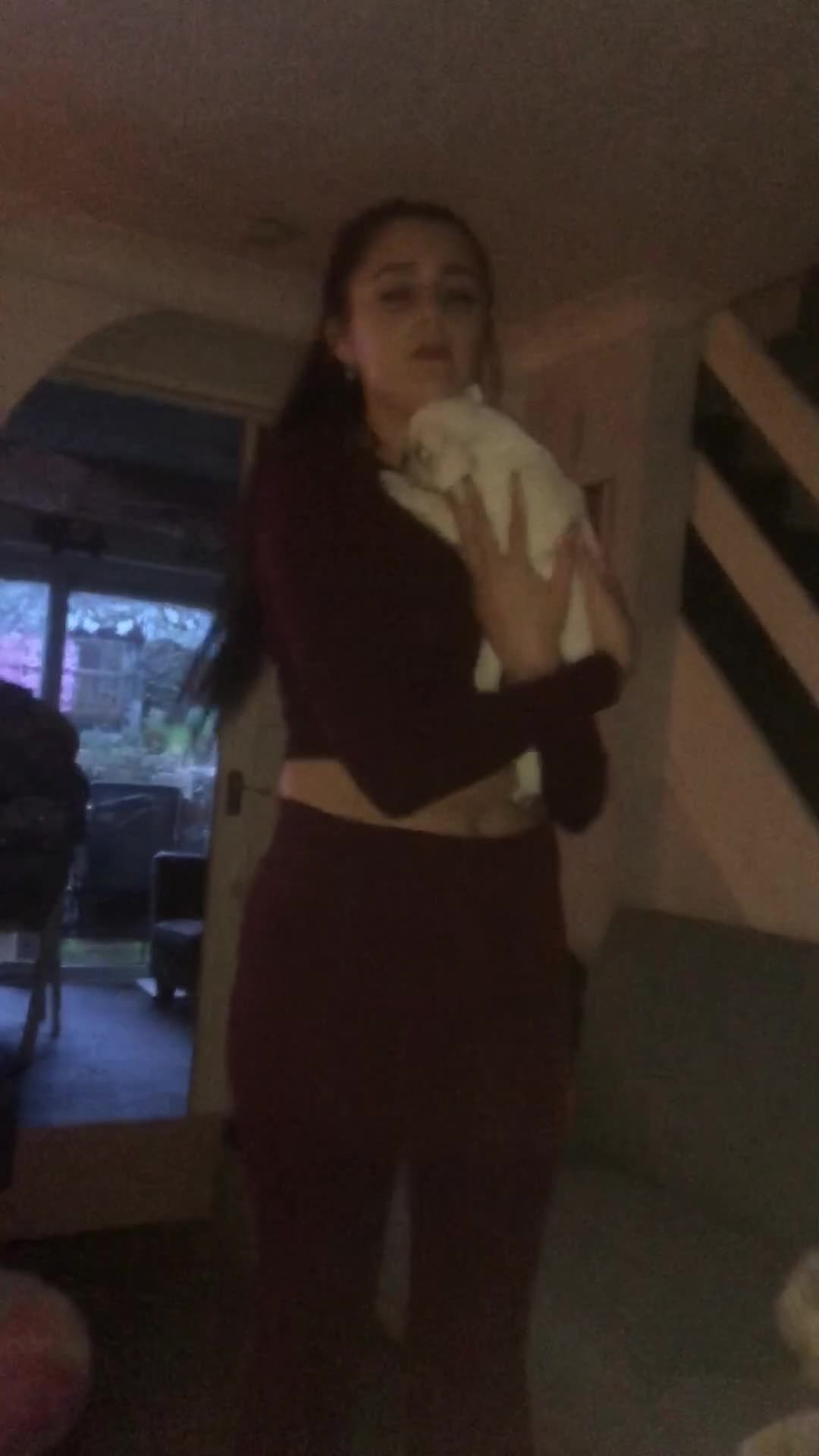 Pug dogs for sale: RESERVED  - Video 1