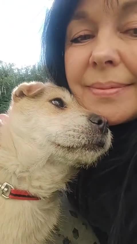 Mixed Breed dogs for adoption: ❤️🐶 BUL’KA – THE HAPPIEST LITTLE SOUL in Burton-on-Trent - Video 1