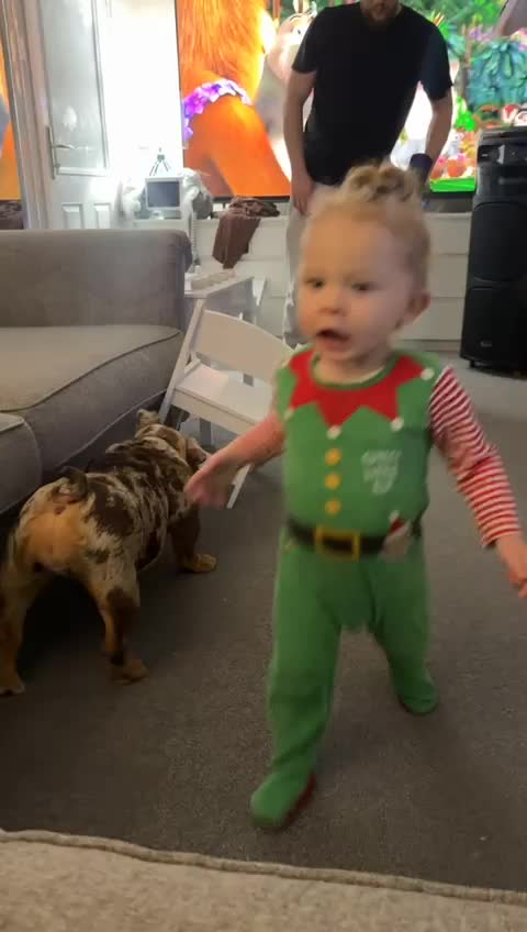 English Bulldog dogs for sale: Chocolate tri merle female in Preston - Video 3