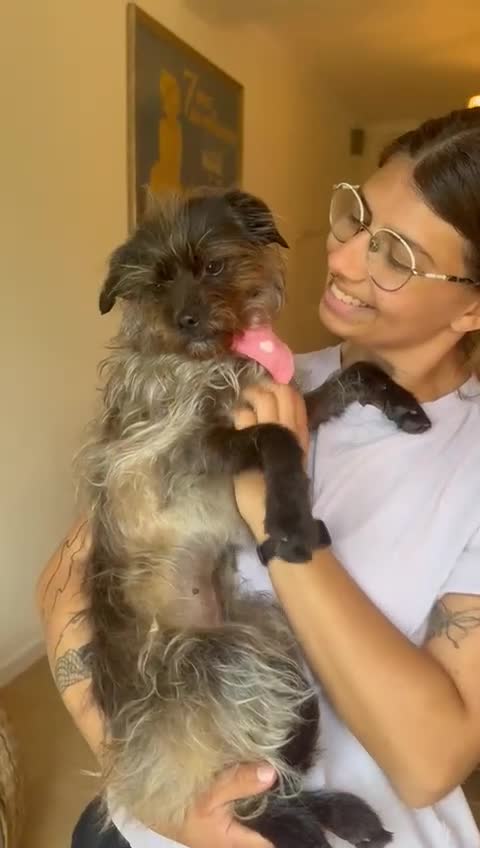 Mixed Breed dogs for adoption: Katinka - Video 2