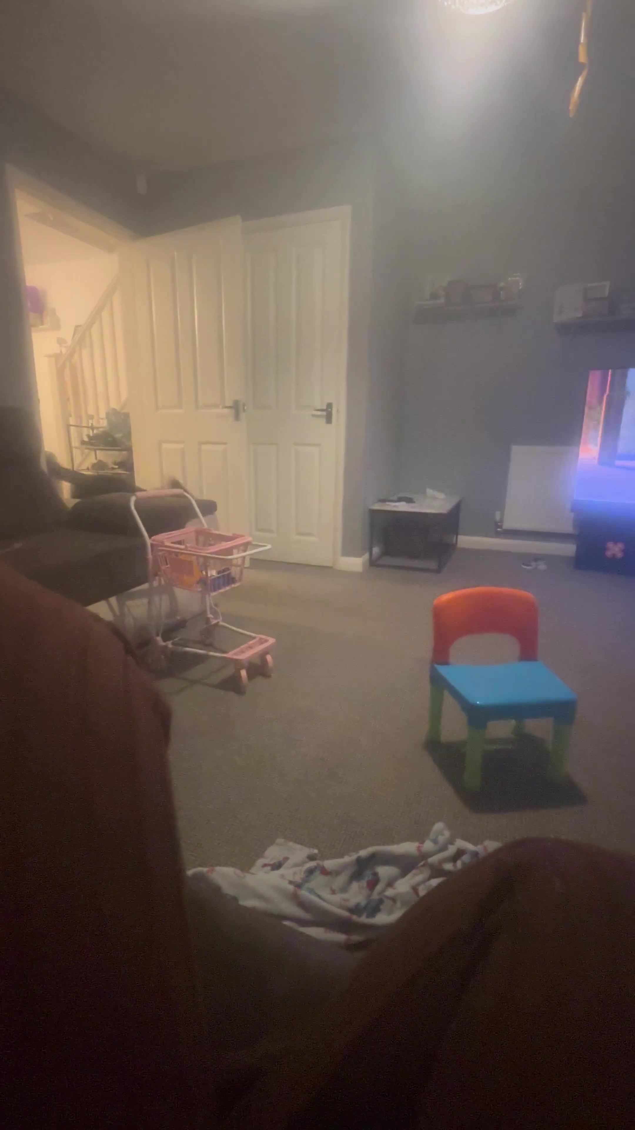 Siberian Husky dogs for sale: Husky - Video 1