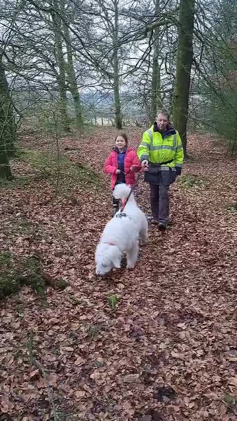 Mixed Breed dogs for adoption: 🖤MEET JOJO🖤 a Superb big Girl for a Loving Home - Video 2