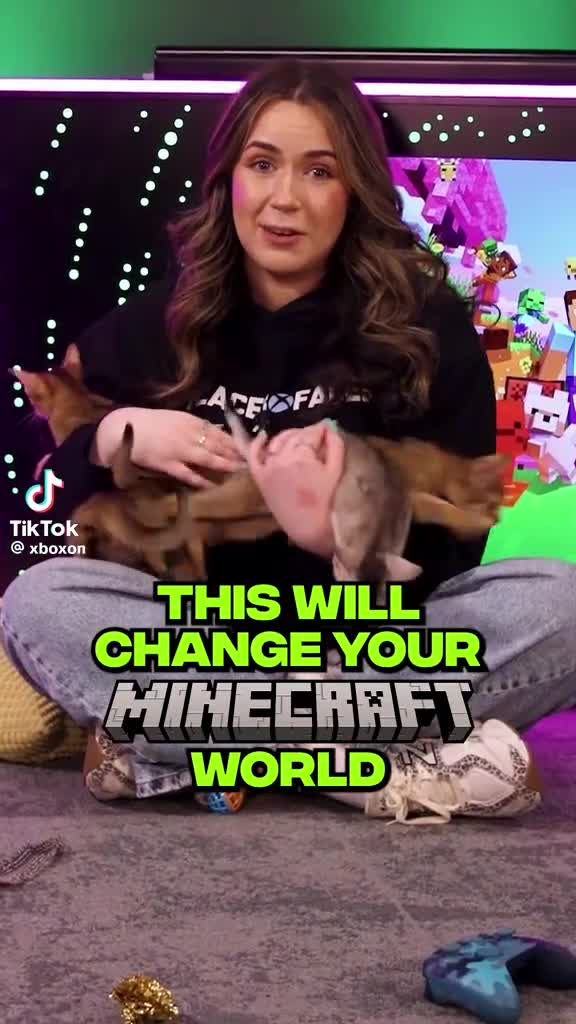 Abyssinian cats for sale: Caspian Boy - elegant, unique champion line🥇 - Video 5