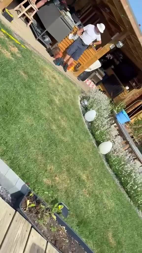 Mixed Breed dogs for adoption: Flora  ❤️  in Milton Keynes - Video 1