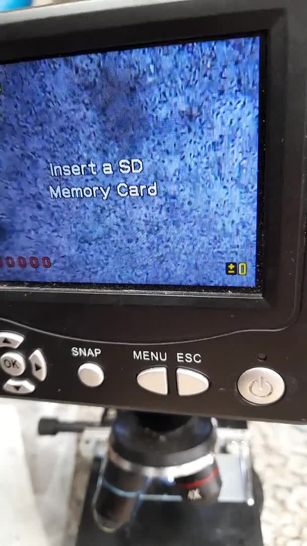 Cavalier King Charles Spaniel dogs for stud: STUNNING HEALTH TESTED KC CAVALIER KING CHARLES in Southampton - Video 1