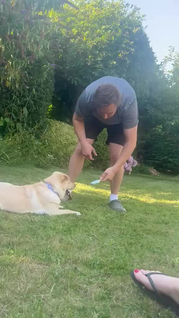 Mixed Breed dogs for adoption: ❤️🐶 LAIMA – HOW IS THIS WONDERFUL GIRL WAITING - Video 2