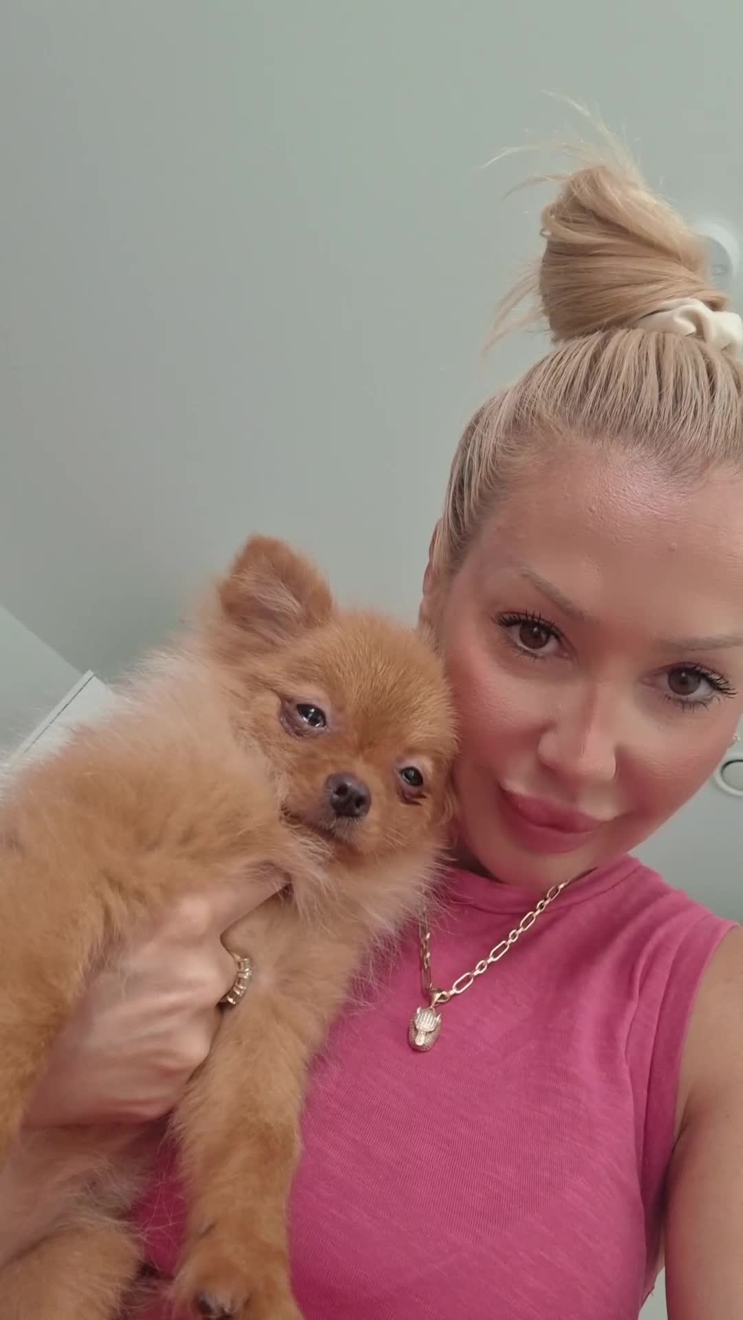 Pomeranian dogs for sale: Beautiful 5-Month-Old Pomeranian Girl for Sale  - Video 4