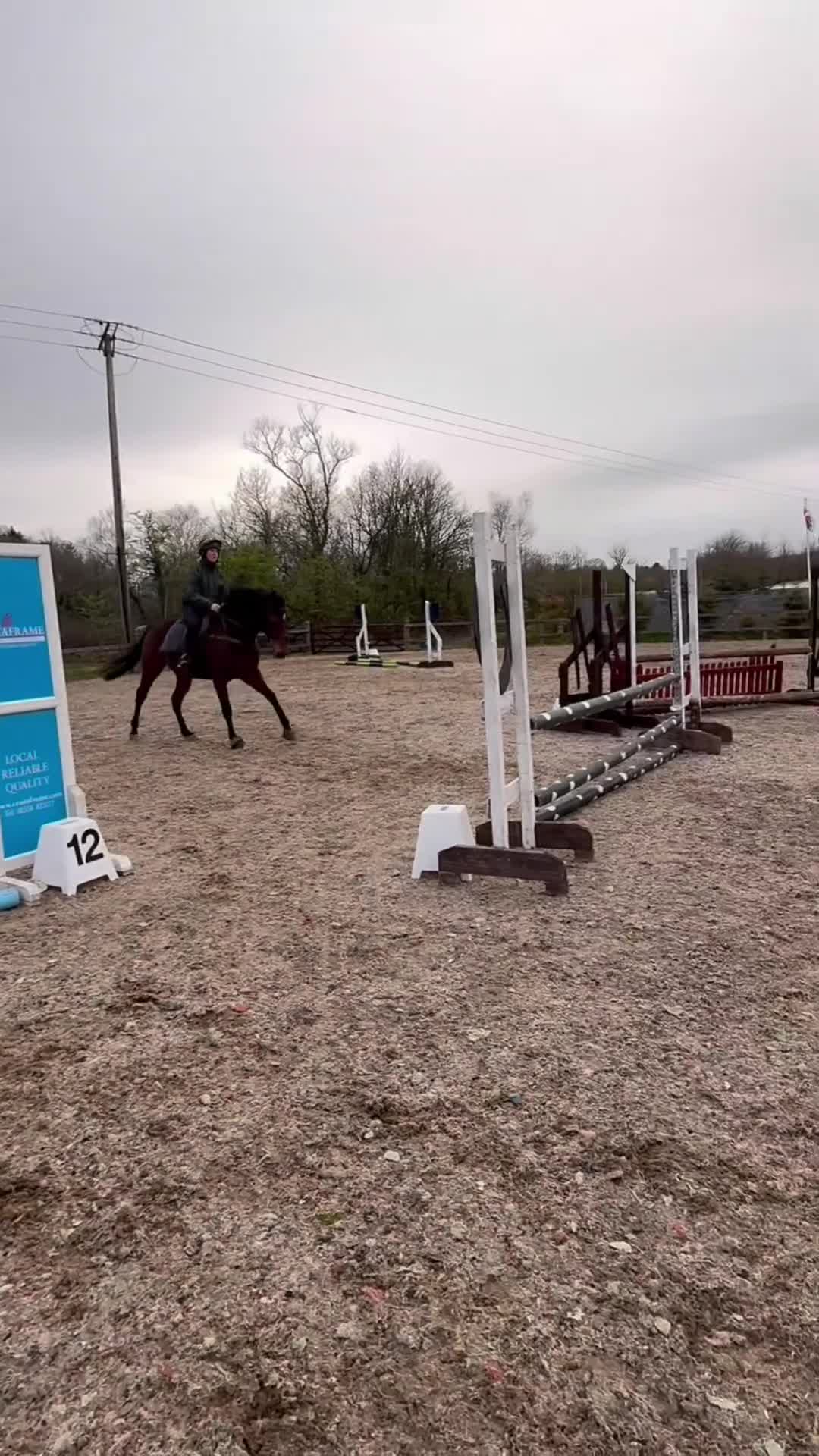Irish Thoroughbred horses for sale: Rising 5 year old mare  - Video 1