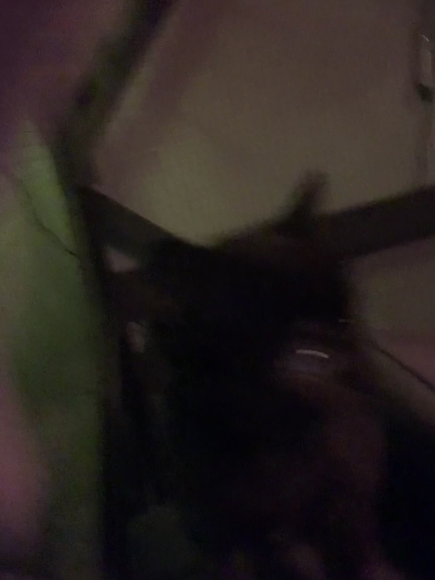 Mixed Breed cats for sale: 3 beautiful black kitten girls  - Video 1