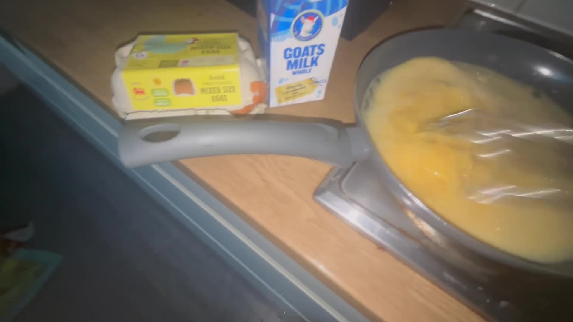 English Springer Spaniel dogs for sale: Fun whistle trained and crate clean by 8 weeks   - Video 1