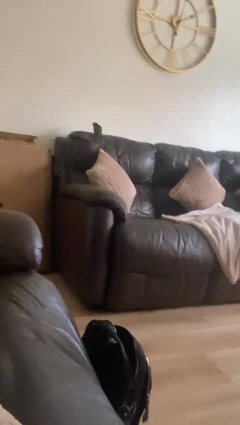 Conures birds for sale: Hnd reared tame conure indian ringnck and budgies  - Video 1