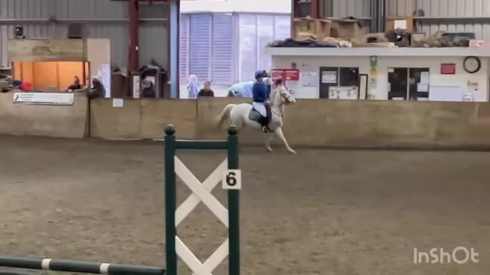 Welsh Section A horses for sale: Welsh Mountain pony x Arab - Video 3