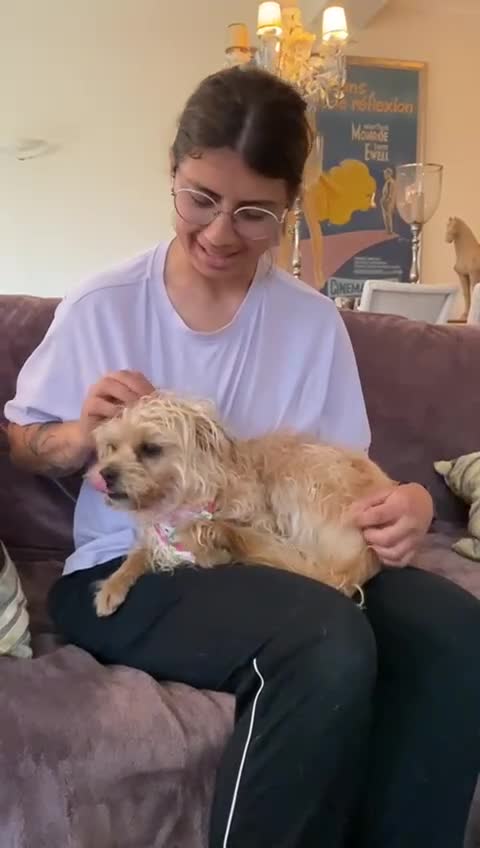 Mixed Breed dogs for adoption: Flora Belle - Video 1