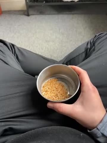 Cockatiels birds for sale: Semi tamed Male and female cockatiels and cage - Video 2