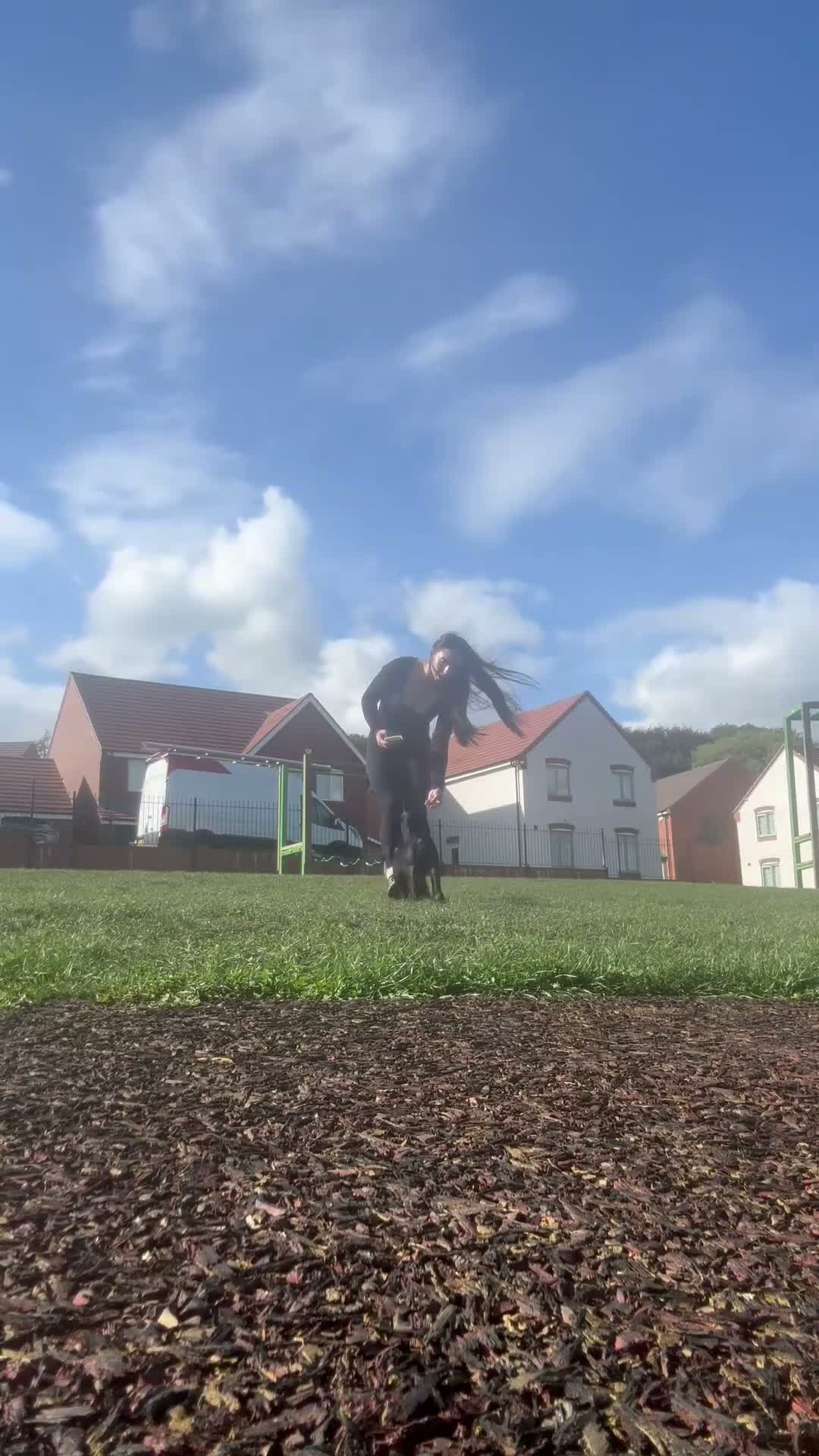 Presa Canario dogs for sale: Female Presa Canario (10 weeks) in Coventry - Video 2