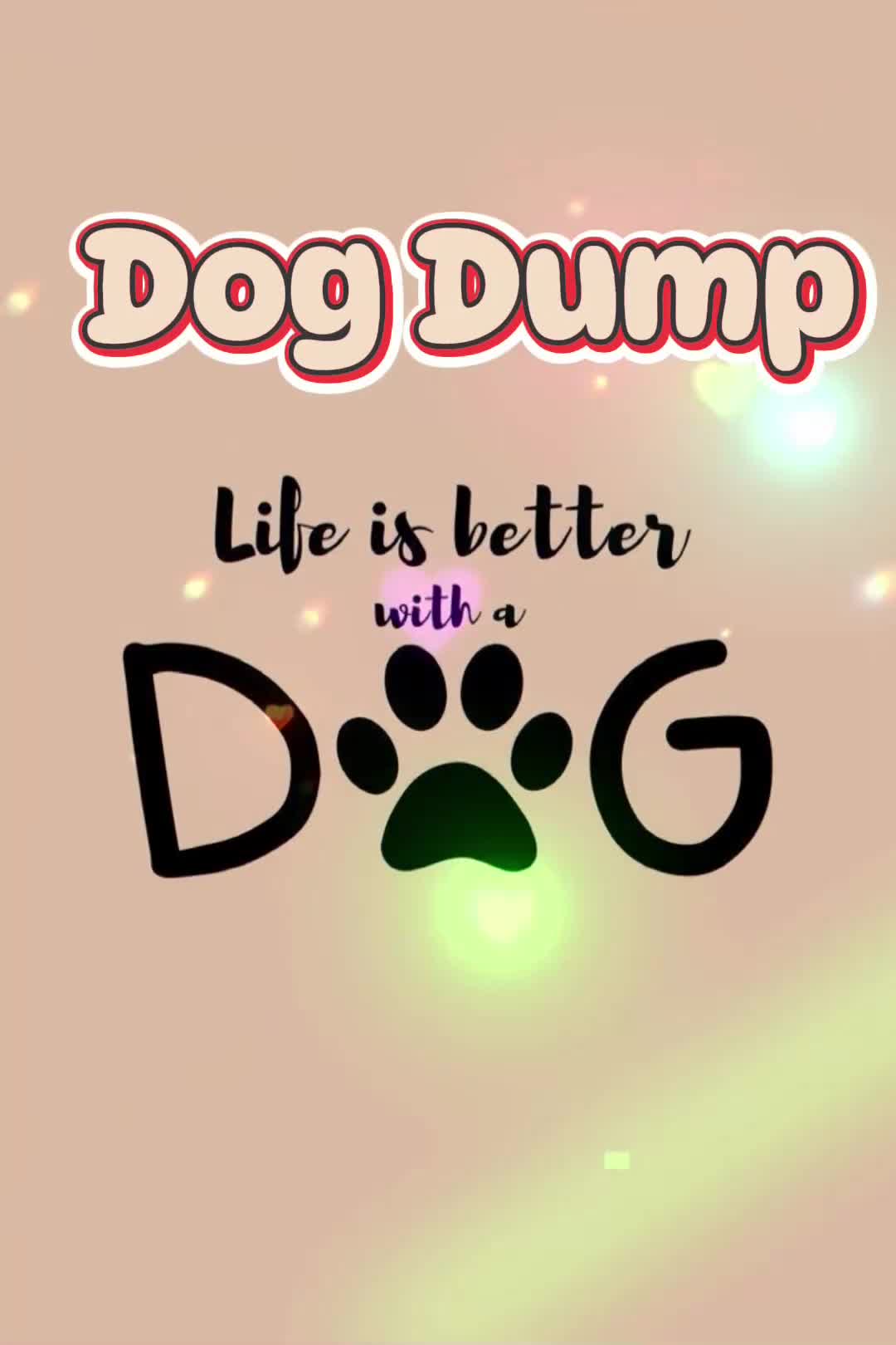 Olde English Bulldogge dogs for sale: Olde English Bulldogs - Video 4