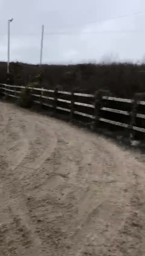 Welsh Section C horses for sale: 5 year old gelding looking for a new home - Video 5