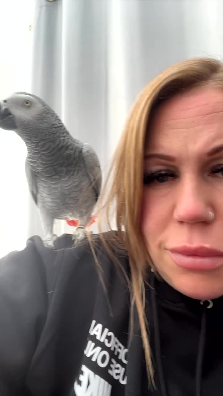 Parrots birds for sale: Extremely sad sale of our much loved Coco - Video 4