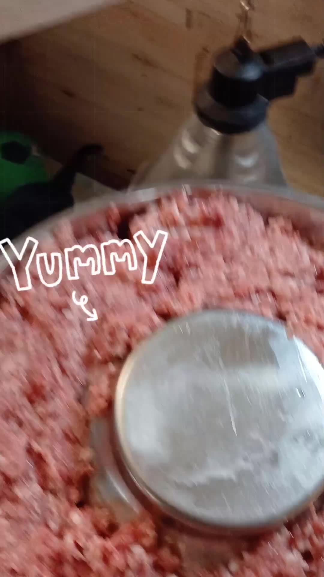 Rottweiler dogs for sale: KC chunky rottweiler puppies - Video 1