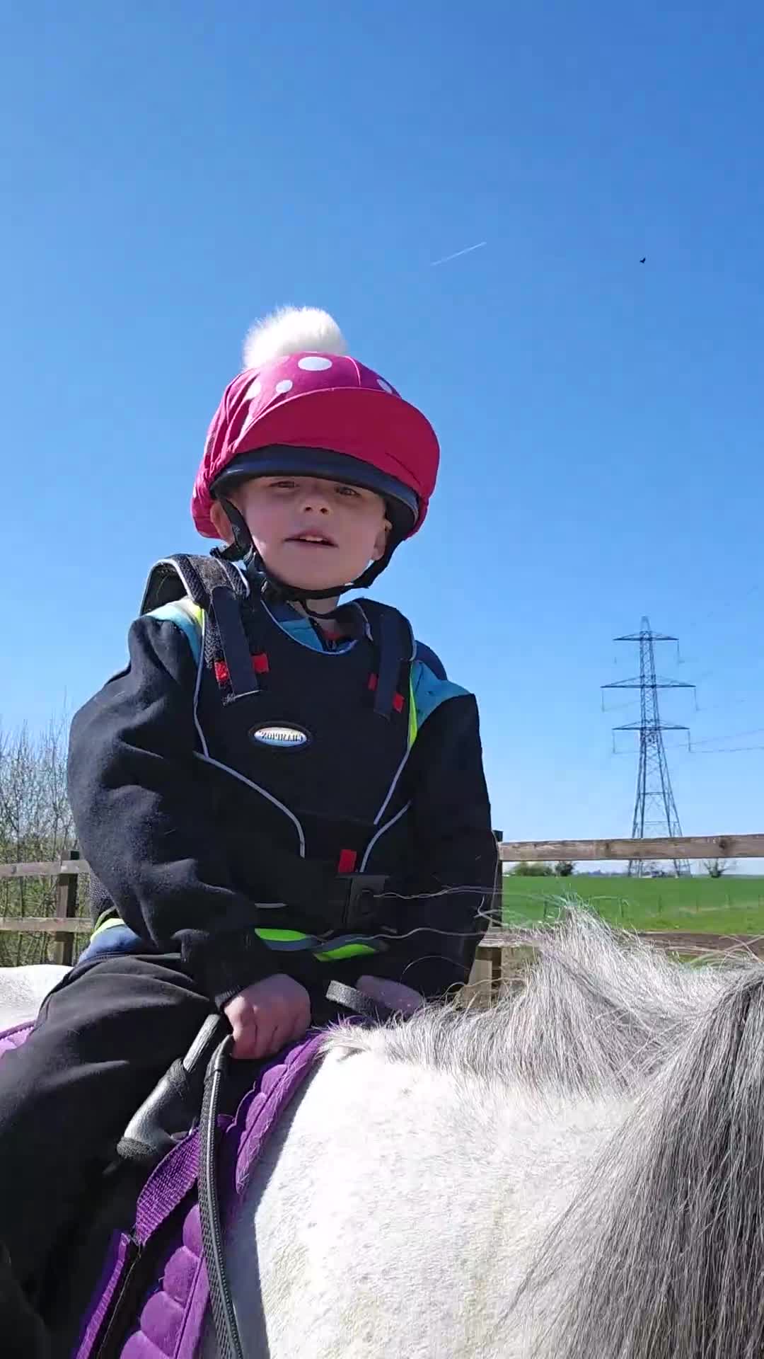 Welsh Section A horses for sale: Welsh a mare - Video 2