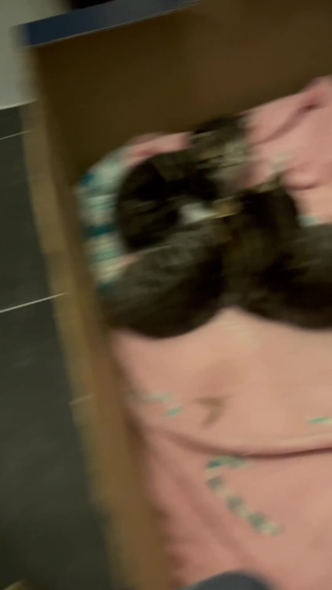 Mixed Breed cats for sale: Mixed Bengal Beautiful Kittens  - Video 2