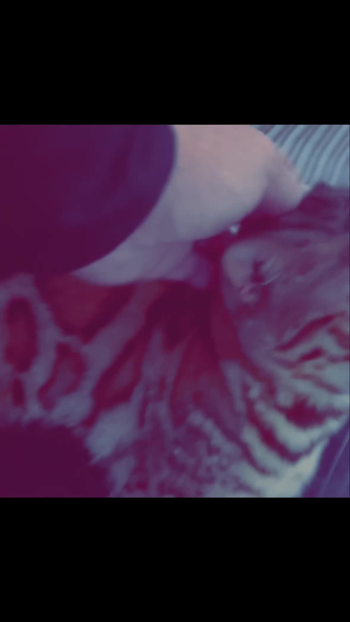 Bengal cats for sale: Two Beautiful Bengal Females  in Liverpool - Video 3