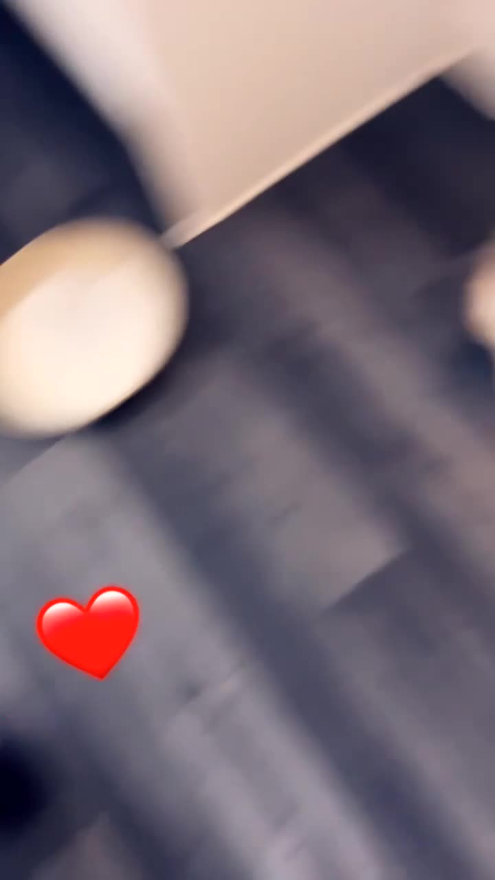 Pomeranian dogs for sale: Pomerian puppies - Video 1