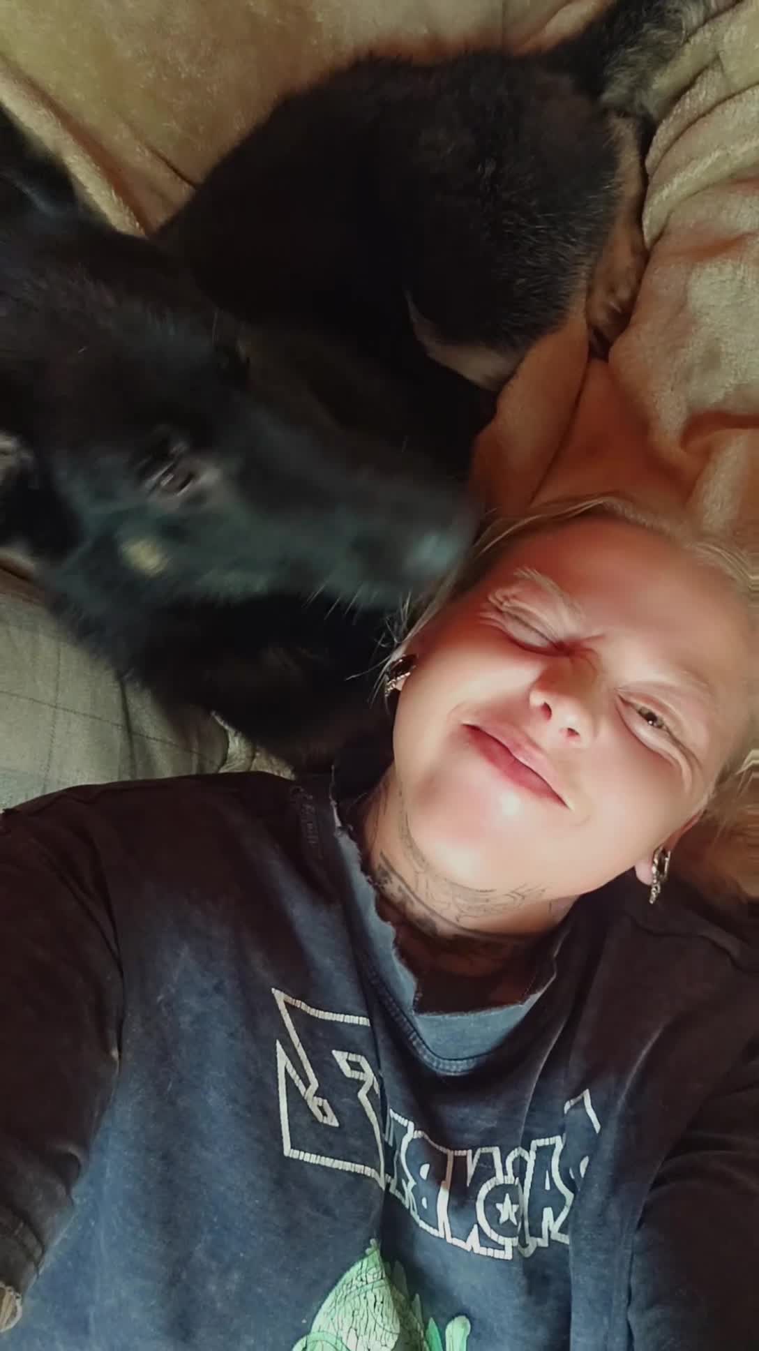 German Shepherd dogs for sale: 7 month old german shepard male in Burton-on-Trent - Video 1