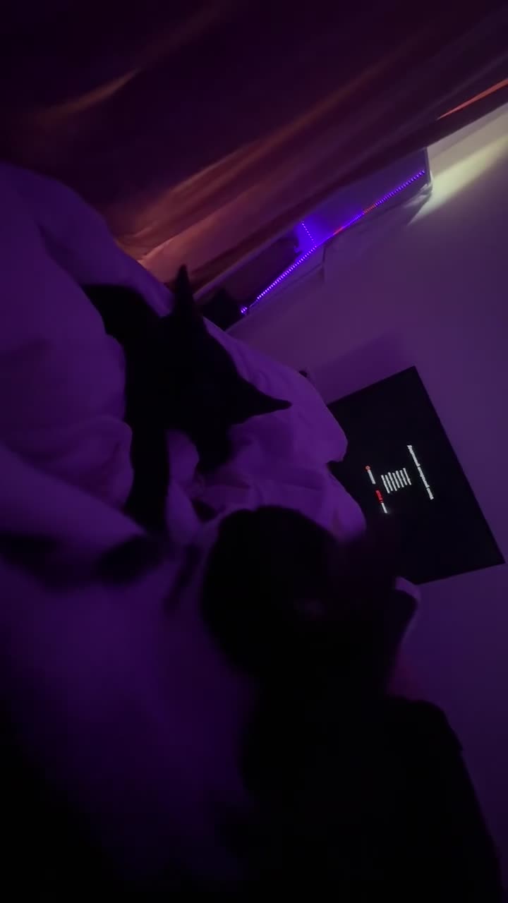 Mixed Breed cats for sale: 2 male kittens  in Edinburgh - Video 1