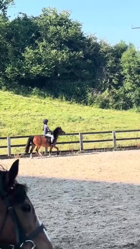 Welsh Section A horses for sale: Perfect lead rein pony  in Wrexham - Video 1