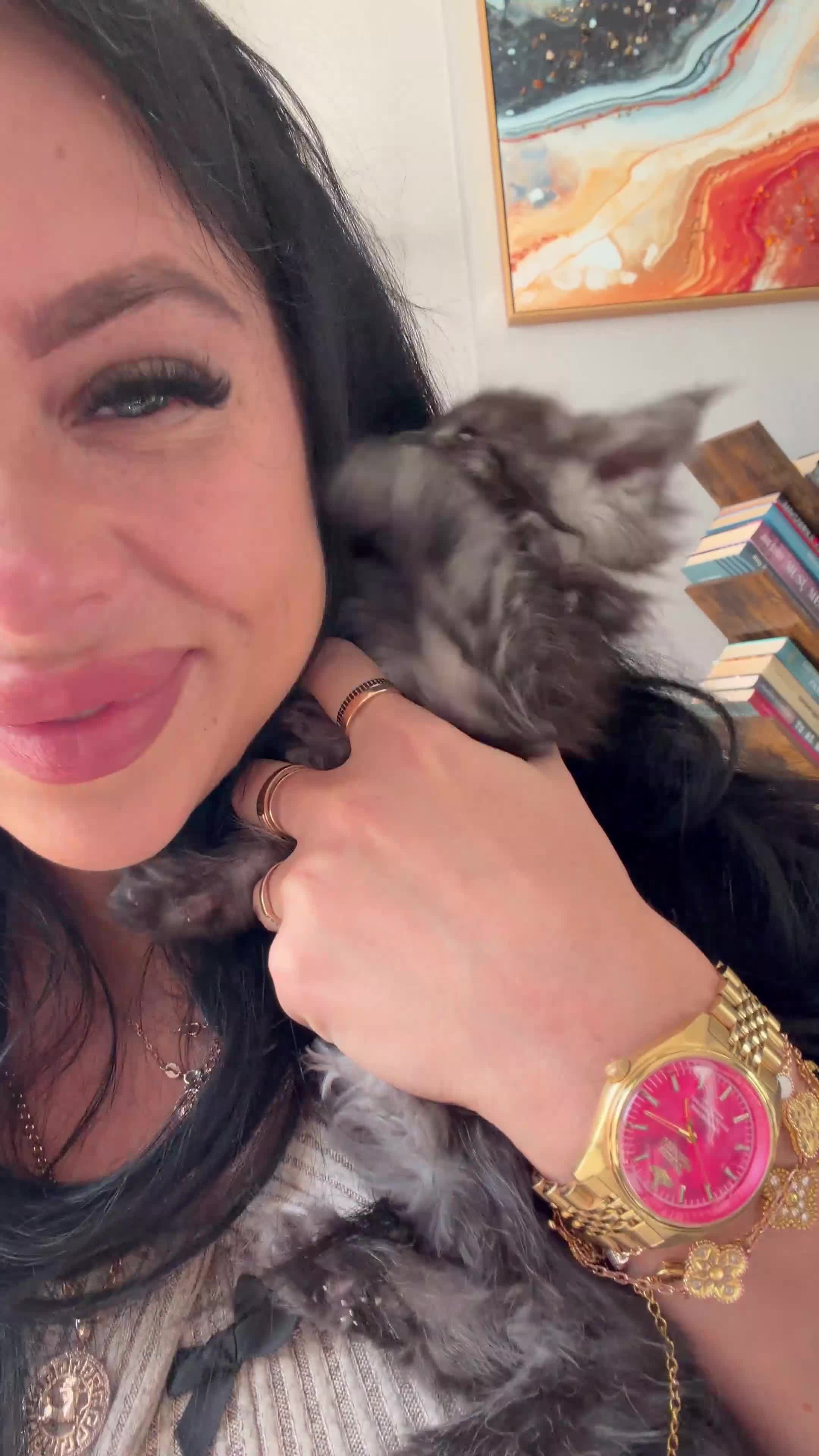 Maine Coon cats for sale: XL Russian maine coon lovely girl ready🏠 🐈‍⬛ 🩷 - Video 1