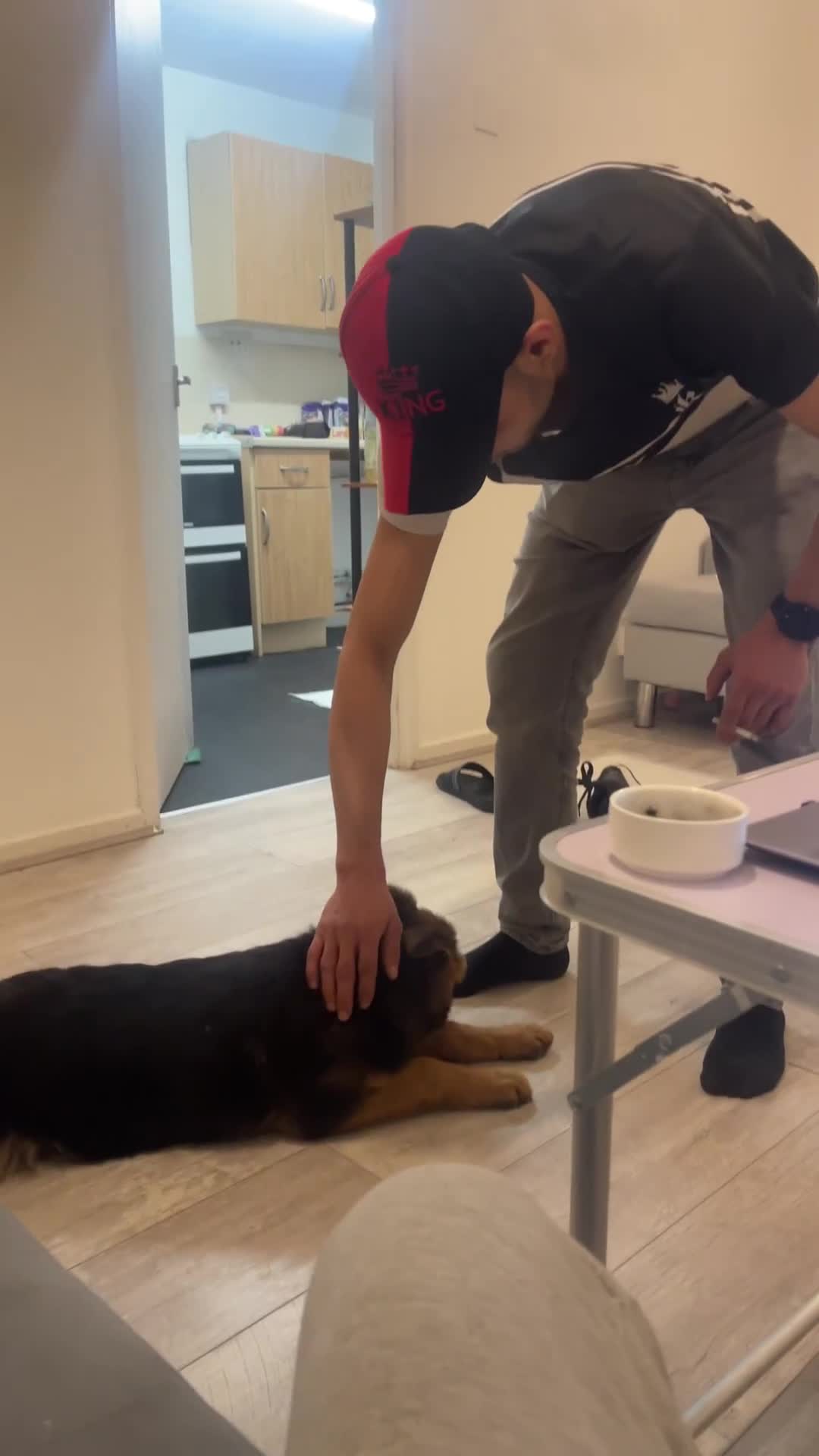 German Shepherd dogs for sale: female - Video 1