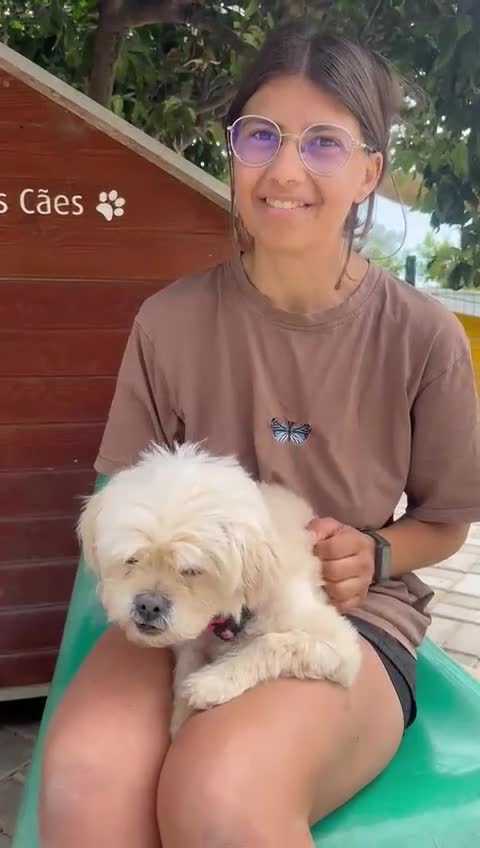 Mixed Breed dogs for adoption: Tinnie Winnie Valentina - Video 2