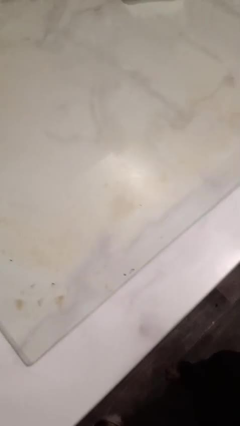 Mixed Breed dogs for adoption: 🐾MEET DUKE – a superb young boy for a Loving Home - Video 4