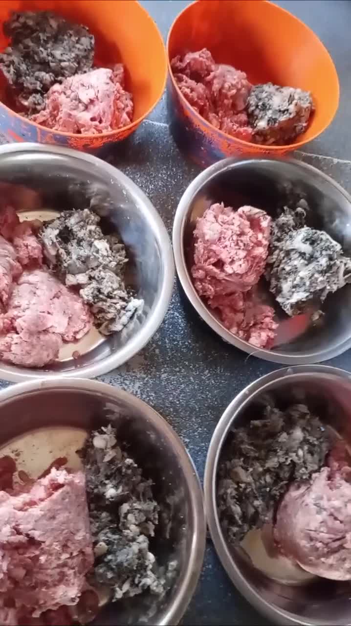 Old Tyme Bulldog dogs for sale: Victorian Bulldogs HEALTH TESTED - Video 1